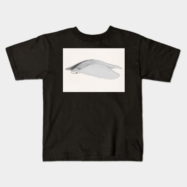 Aerial Manta Ray Kids T-Shirt by Ballyraven